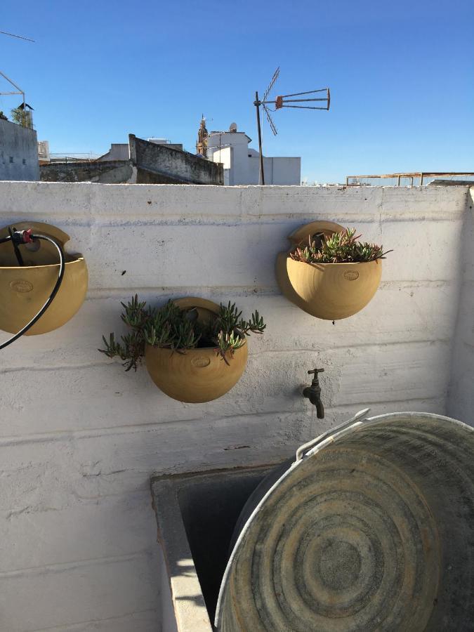 Вилла Casa Leon Blanco Carmona Reformada Centrica Con Chimenea Y Terraza Con Vistas Экстерьер фото